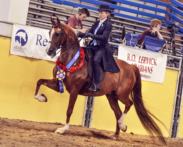 2017 REGION 4 AND REGION 5 SHOW RESULTS thumbnail picture