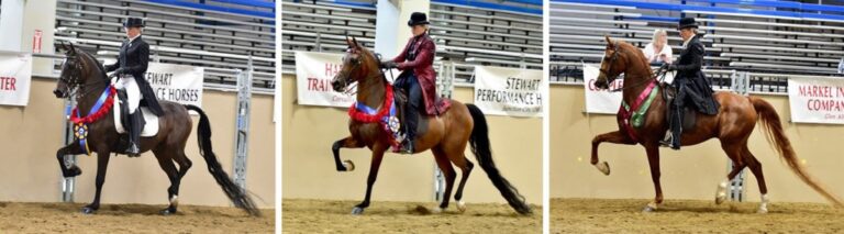 2021 Region 4 Show Results thumbnail picture