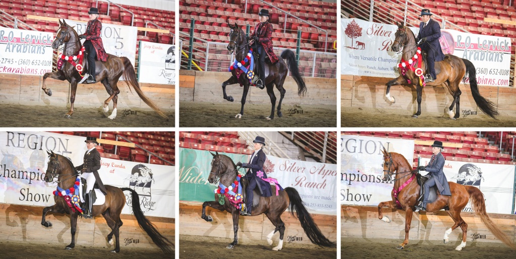 2021 Region 5 Show Results thumbnail picture