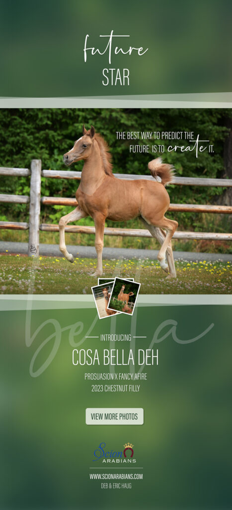 2023 Foal – Cosa Bella DEH thumbnail picture