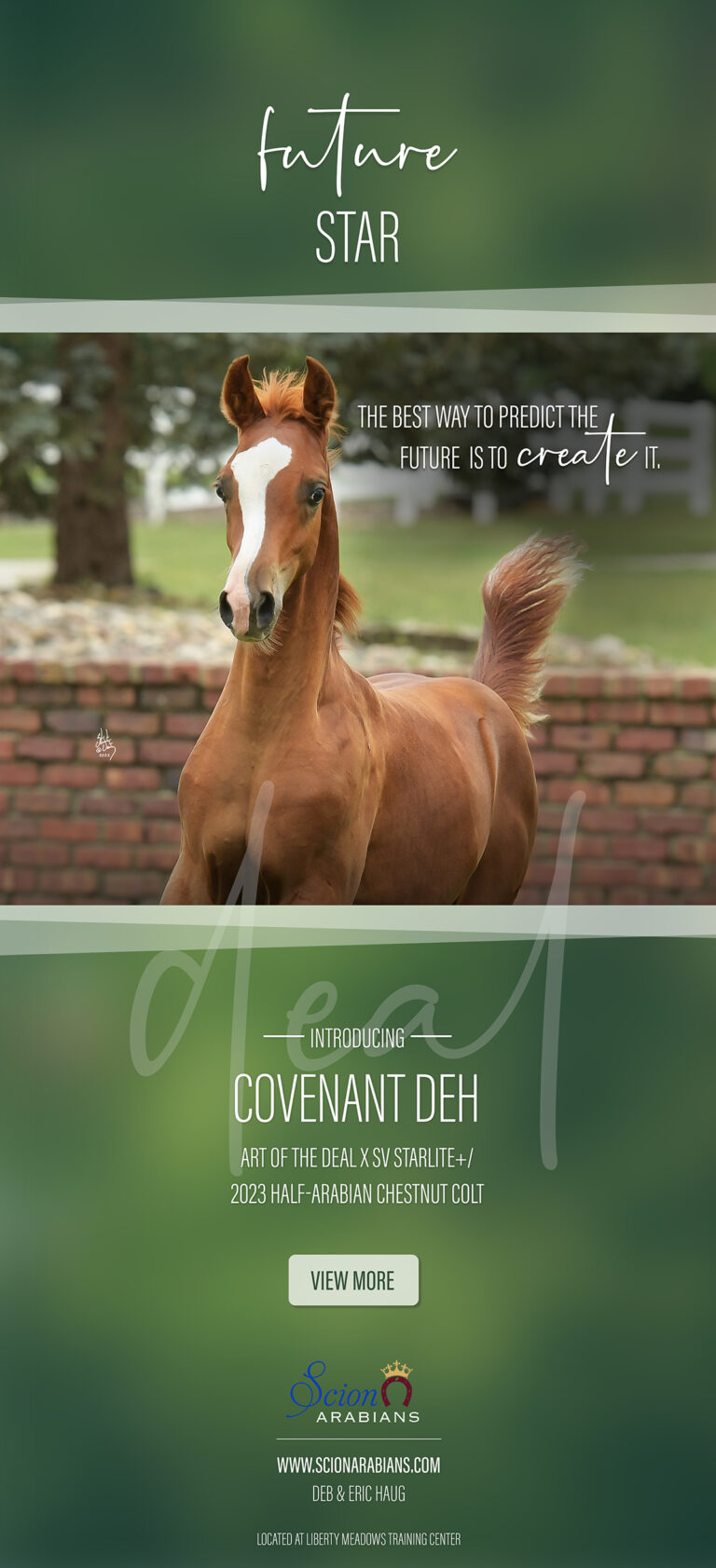 2023 Foal – Covenant DEH thumbnail picture