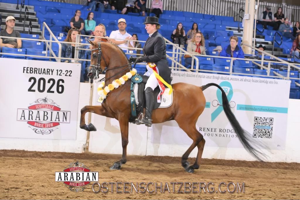 Scottsdale 2026 thumbnail picture